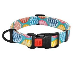 Dog Collar